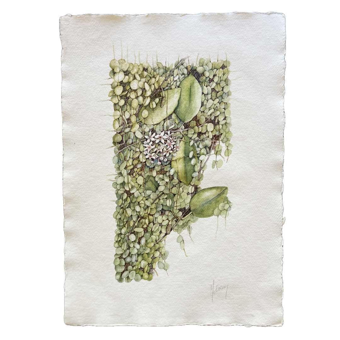 JULIE MCENERNY | 'Woven' | Watercolour drawing + ink