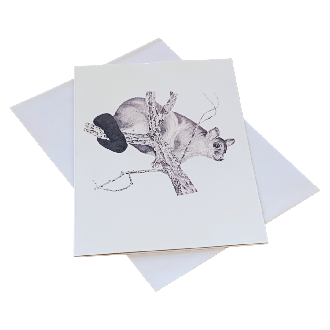 VALERIE KEENAN | ‘Brushtail Possum' | Single Greeting Card