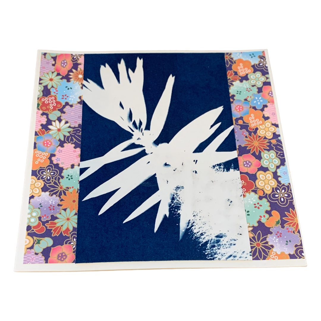 YASUE ASAI | 'Bottlebrush' | Gift card | Cyanotype | Japanese Rice Paper