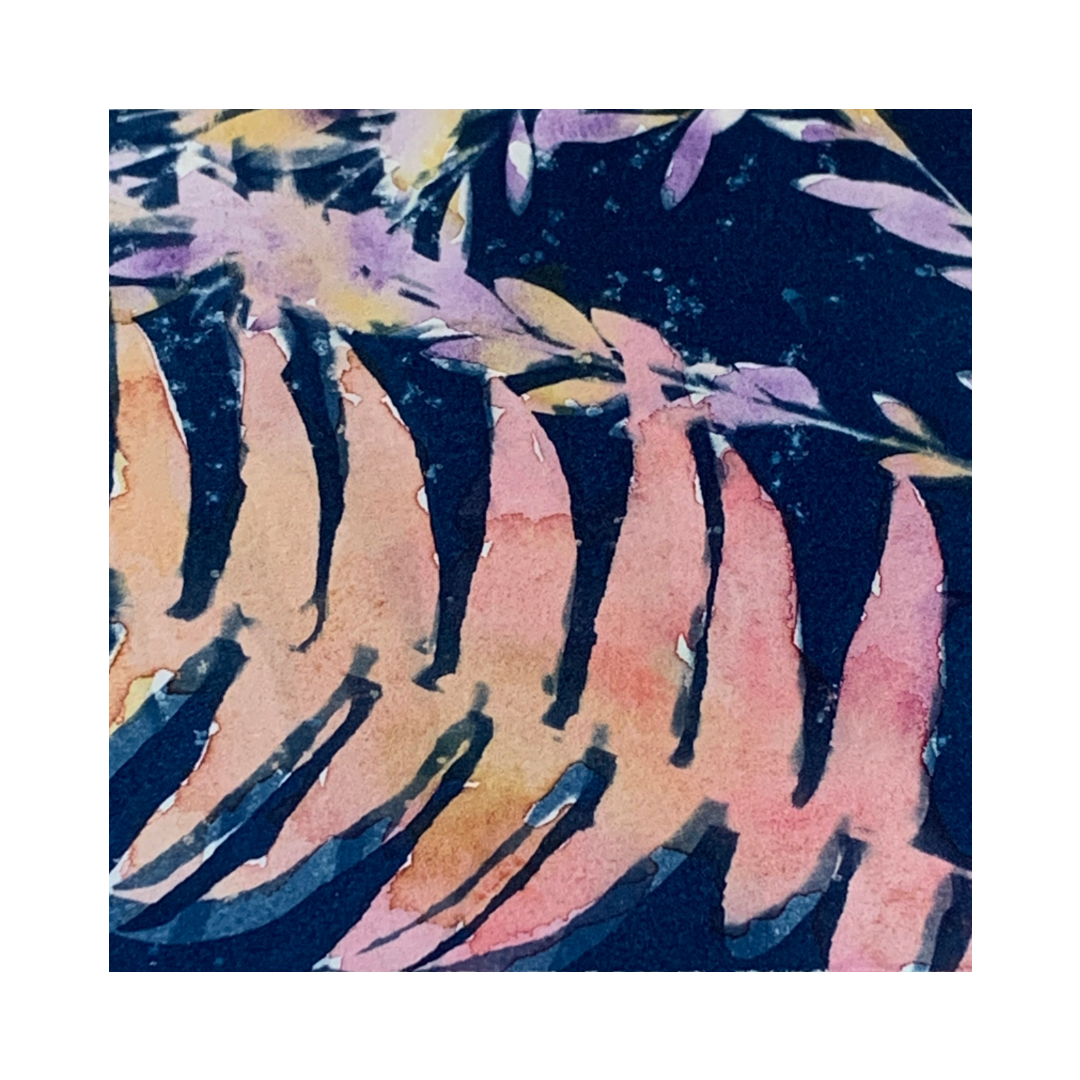 YASUE ASAI | ‘Pink Fern Gift Card’ | Hand-coloured Cyanotype