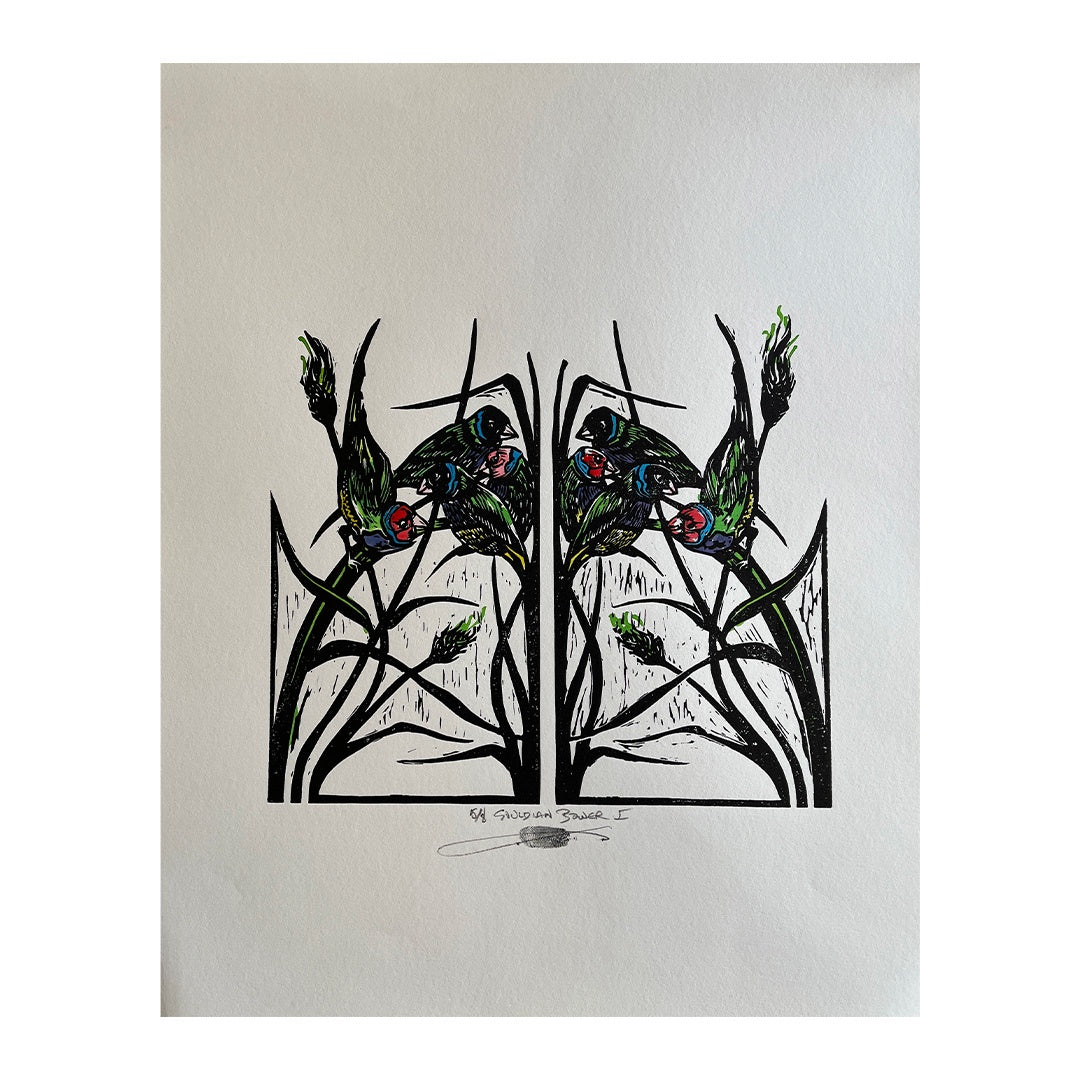 JANE DENNIS | ‘Gouldian Bower 1’ | Hand-coloured linocut print