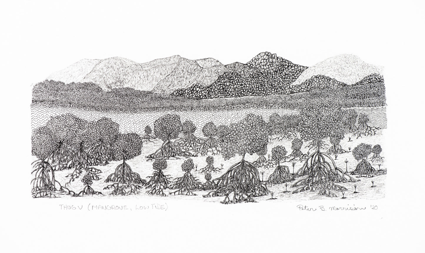 PETER B MORRISON | 'Thag V' (Mangrove, Low Tide) Drawing | Pen and ink on archival paper. Framed