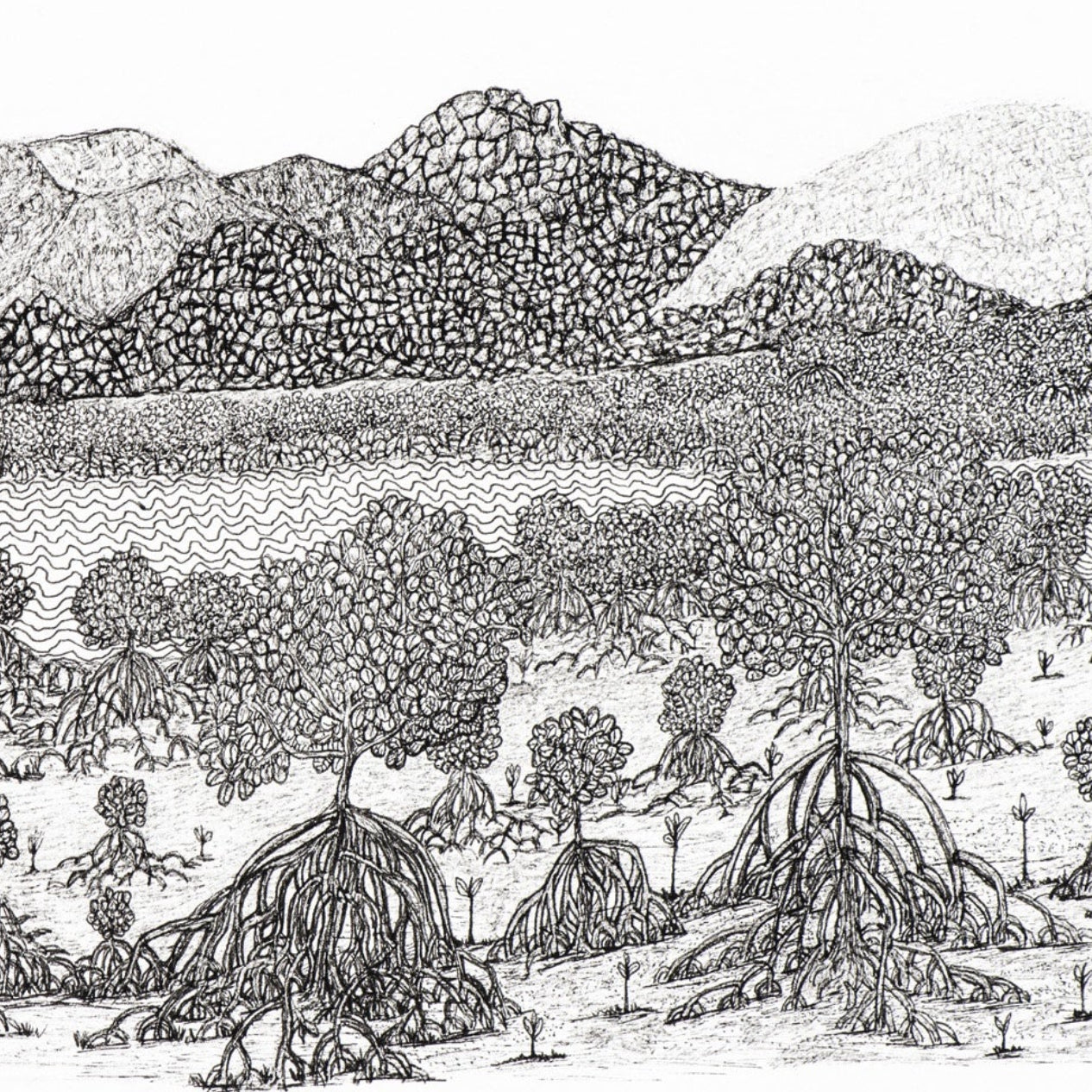 PETER B MORRISON | 'Thag V' (Mangrove, Low Tide) Drawing | Pen and ink on archival paper. Framed