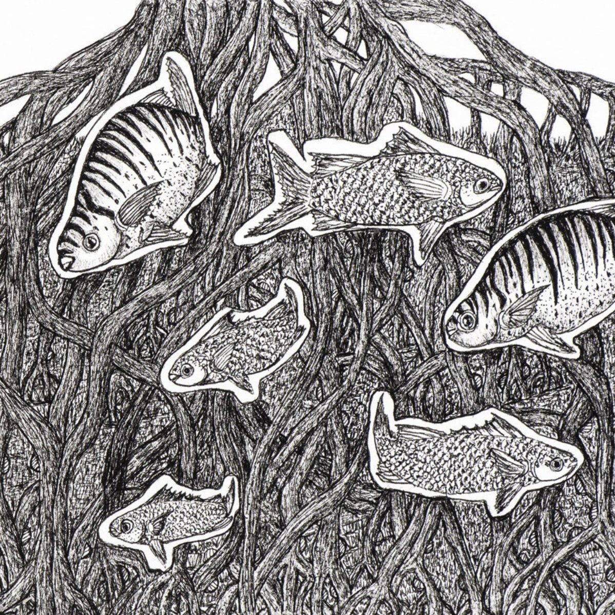 PETER B MORRISON | 'Kibim (Black Fish) & Mullet II' Drawing | Pen and ink on archival paper