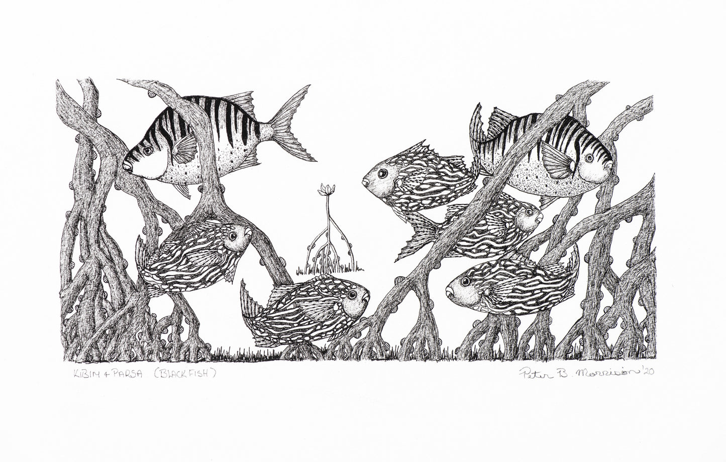 Peter B Morrison 'KIBIM & PARSA '(BLACK FISH)