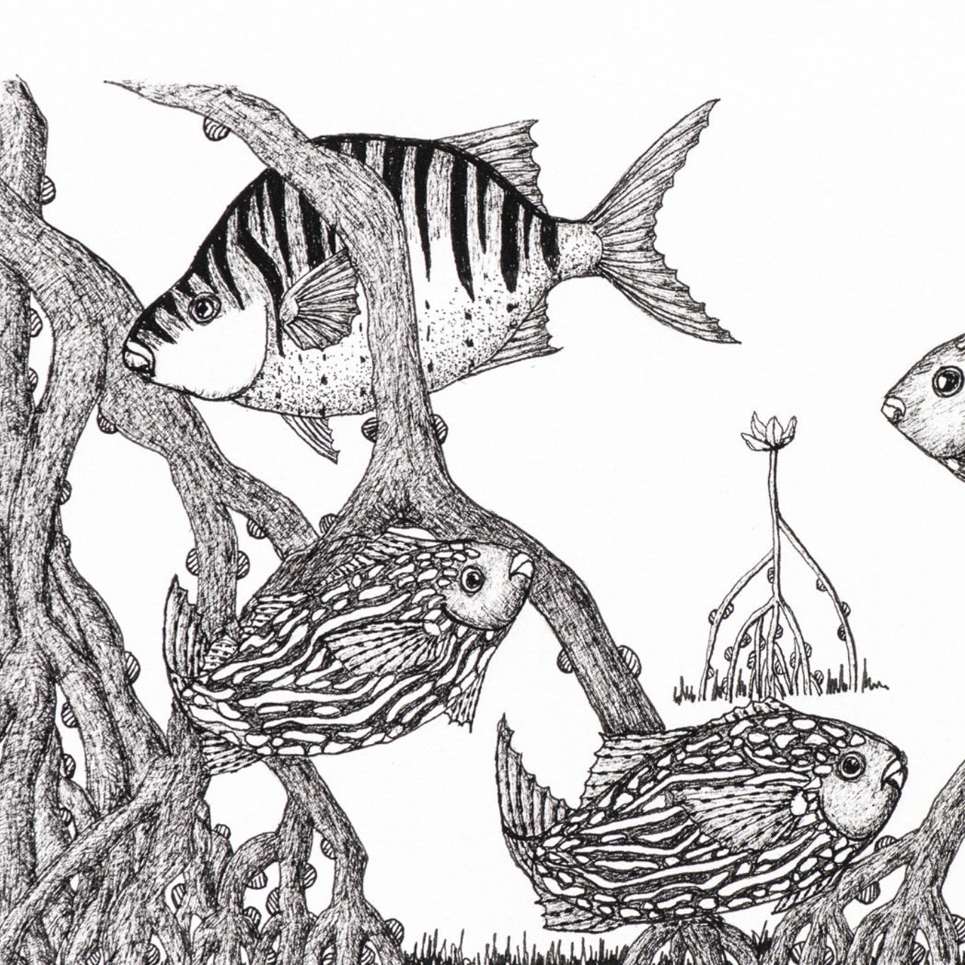 Peter B Morrison 'KIBIM & PARSA '(BLACK FISH)