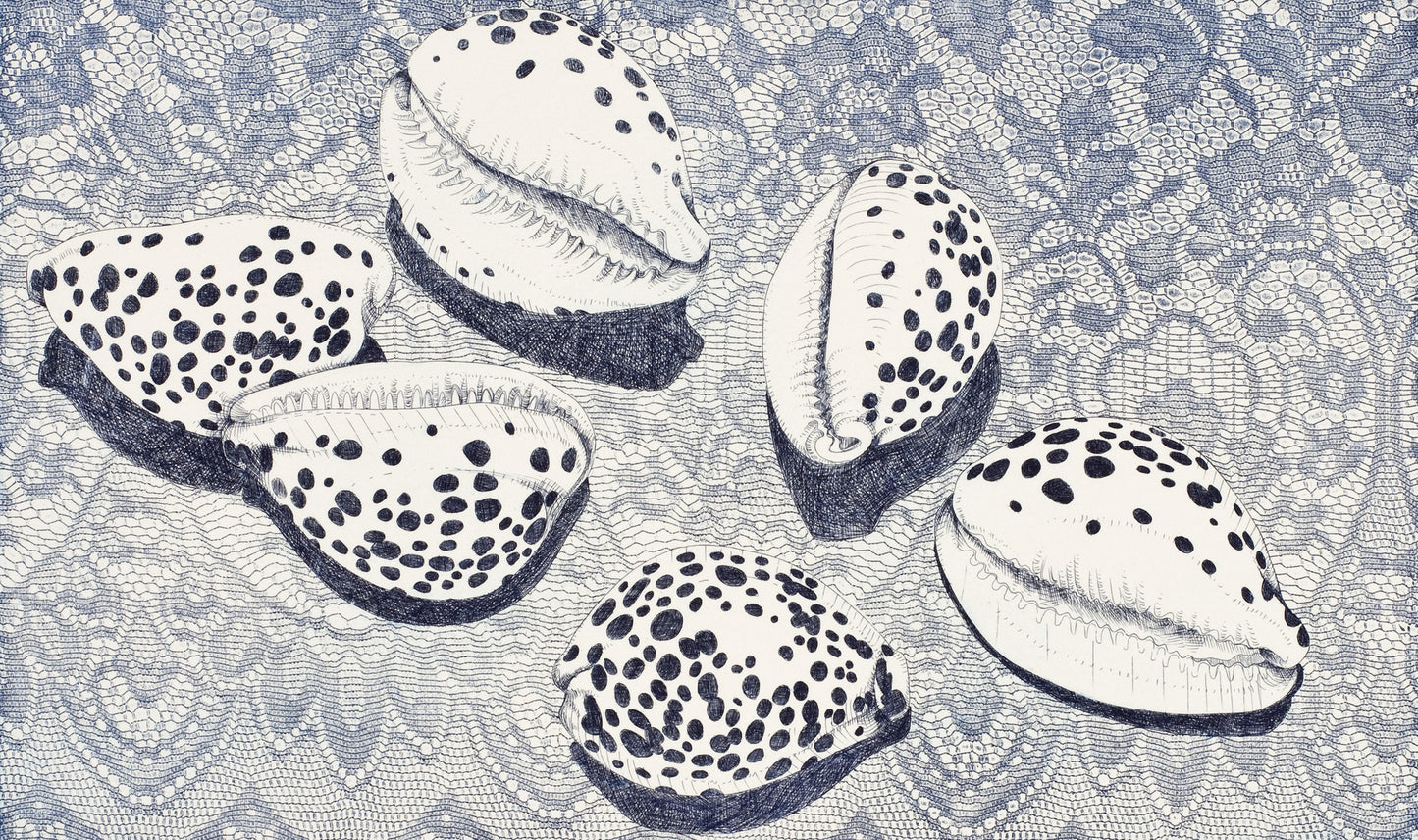 BRIAN ROBINSON | 'Cowries in a floral landscape' | Etching