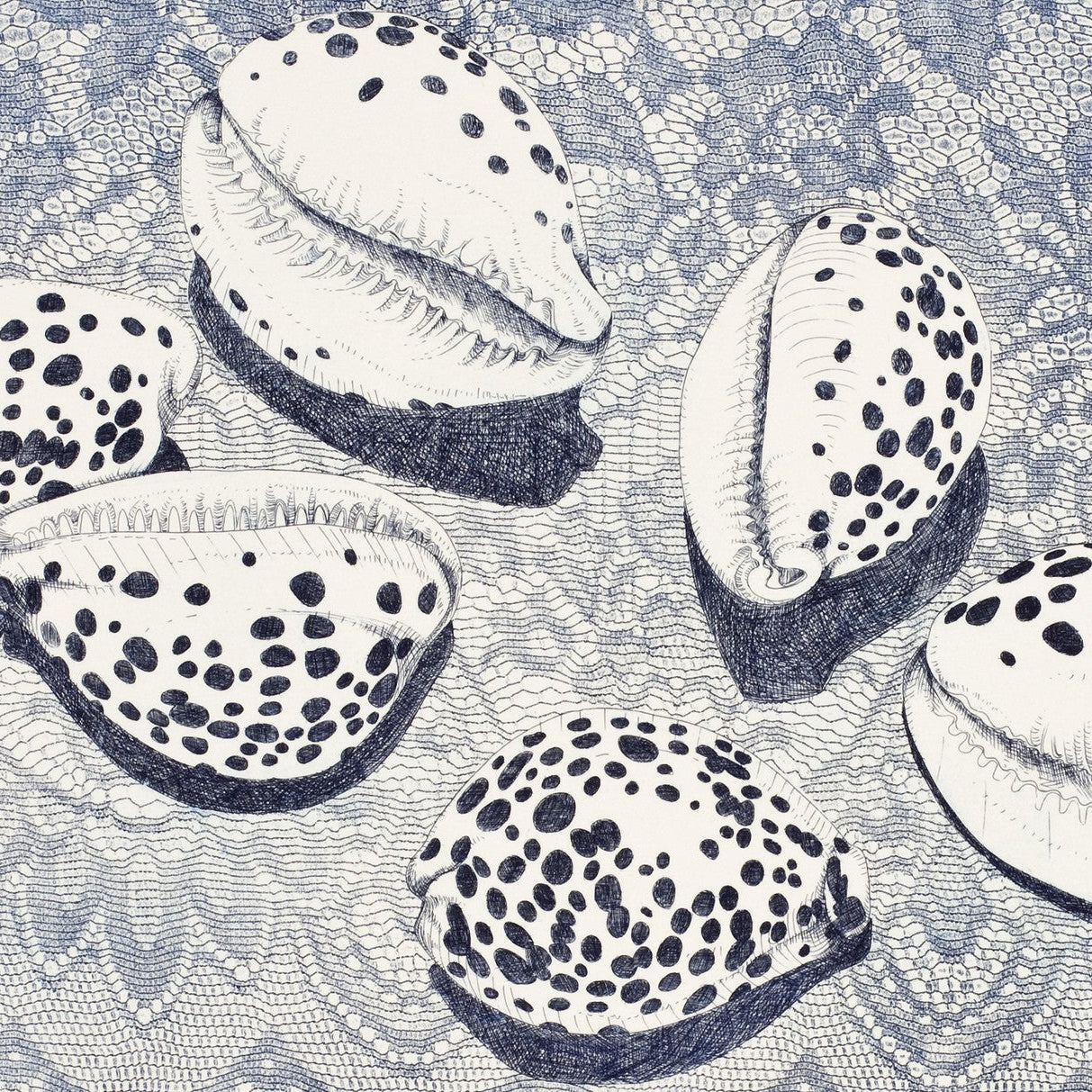 BRIAN ROBINSON | 'Cowries in a floral landscape' | Etching