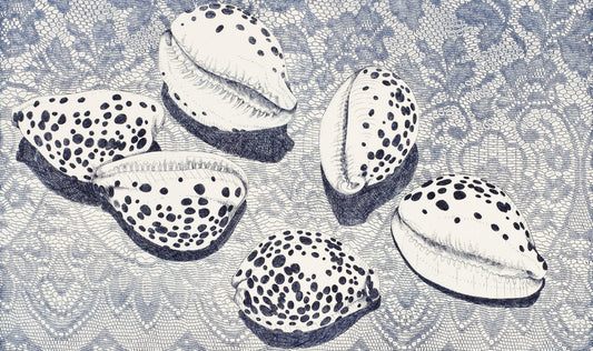 BRIAN ROBINSON | 'Cowries in a floral landscape' | Etching / 2015