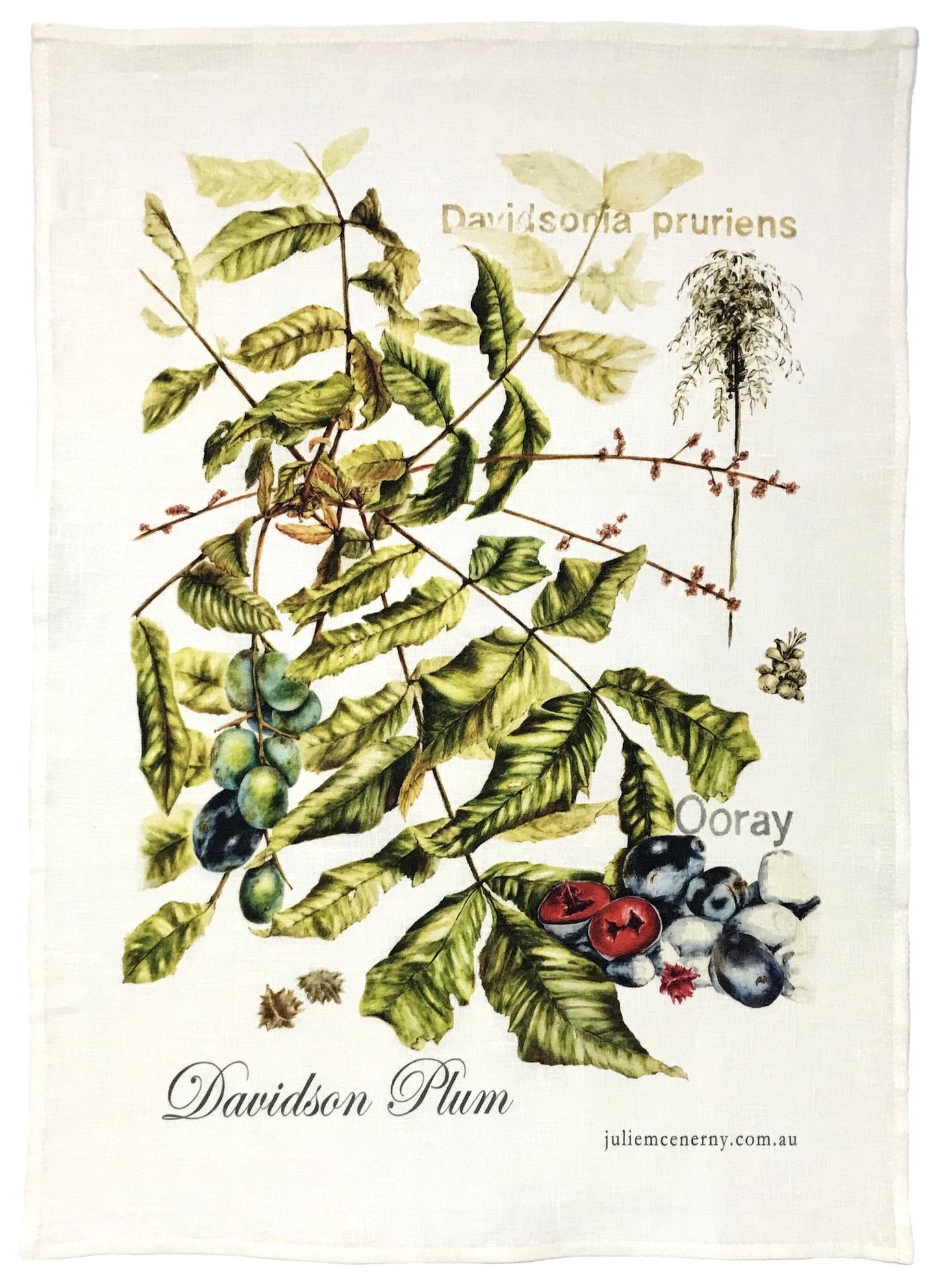 JULIE MCENERNY | ‘Davidson Plum’ | Tea towel / 100% linen