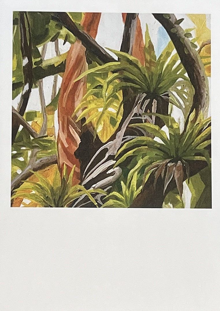 BREATH AND ESSENCE | 'Cool Forests' | Gift Card