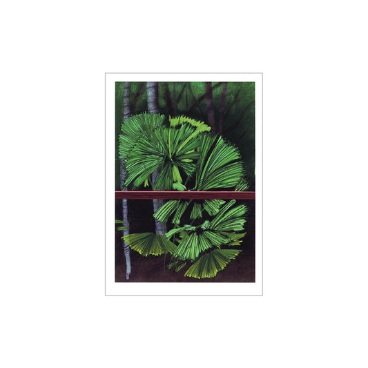 NATALIE LORENTZEN | ‘Licuala Grandis’ Palm Cove Series | Gift Card