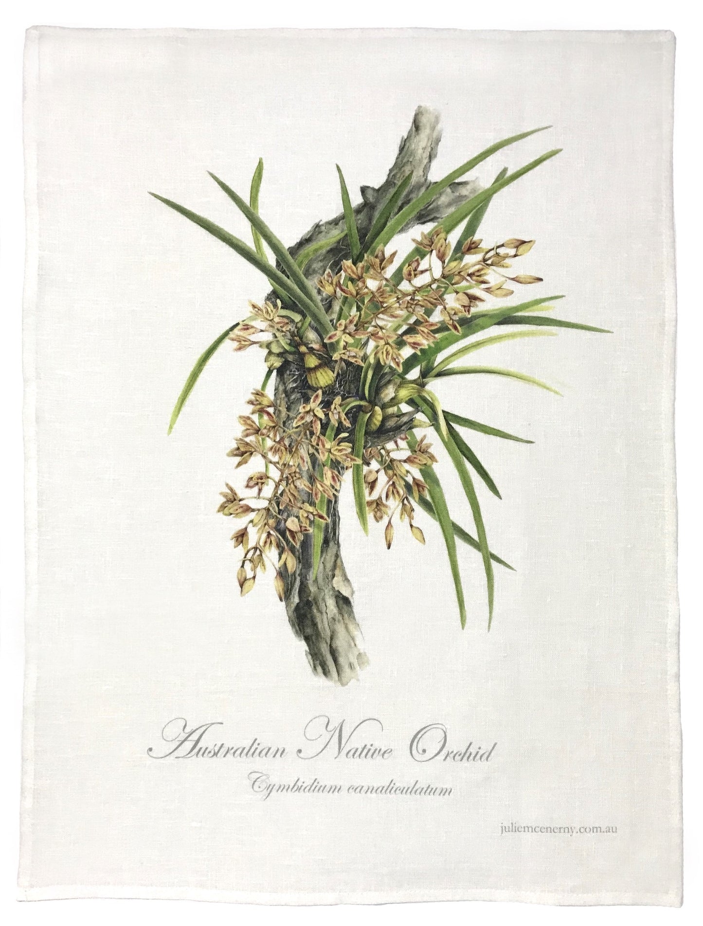 JULIE MCENERNY | ‘Native Orchid Tea Towel: Cymbidium canaliculation’ | 100% linen