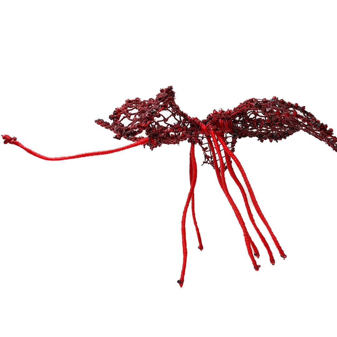 MARLENE NORMAN | 'Dragon Fly' | Ghost Net Sculpture