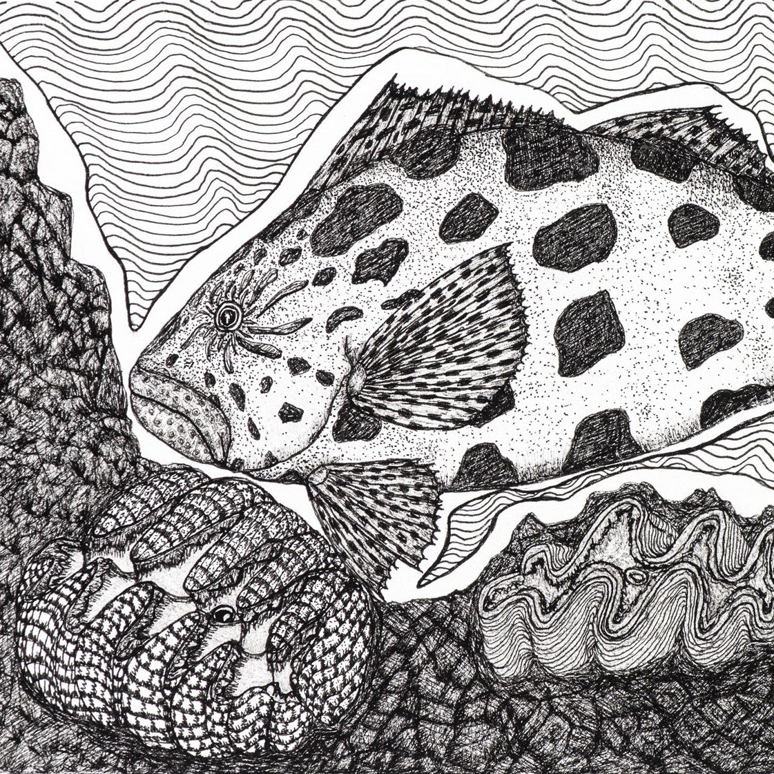 Peter B Morrison 'KUROP II' (POTATO COD)