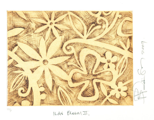 BRIAN ROBINSON | 'Ilan Bloom II' | Etching