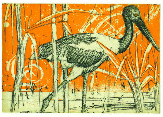GEOFF DIXON | 'Jabiru/ Pandanus' | Etching