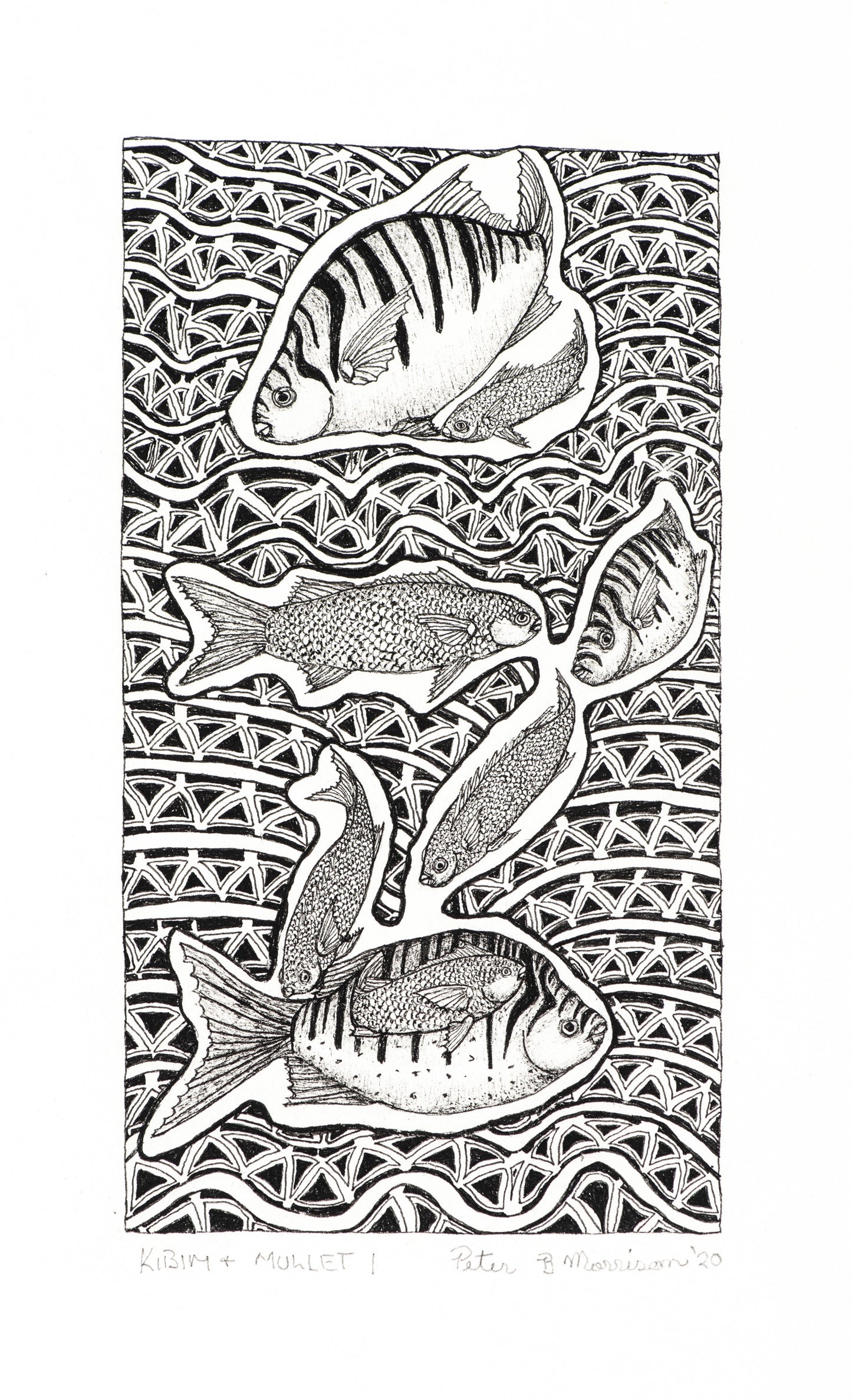 PETER B MORRISON | 'Kibim & Mullet I' Drawing | Pen and ink on archival paper