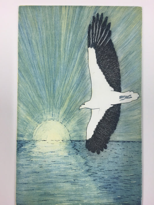 DARREN BLACKMAN | 'Gangga (the white bellied sea eagle) | Etching | Fine Art Print