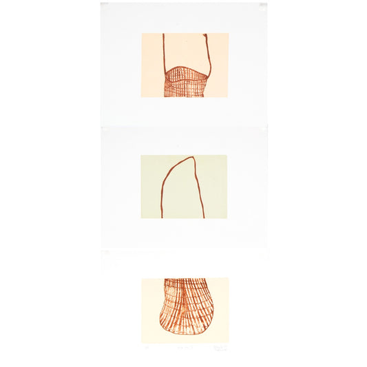 SHERYL J BURCHILL | 'Dilly Bag IV (triptych 2)' | 2026 | Plate lithograph | (H 144 x W 193 mm) x 3