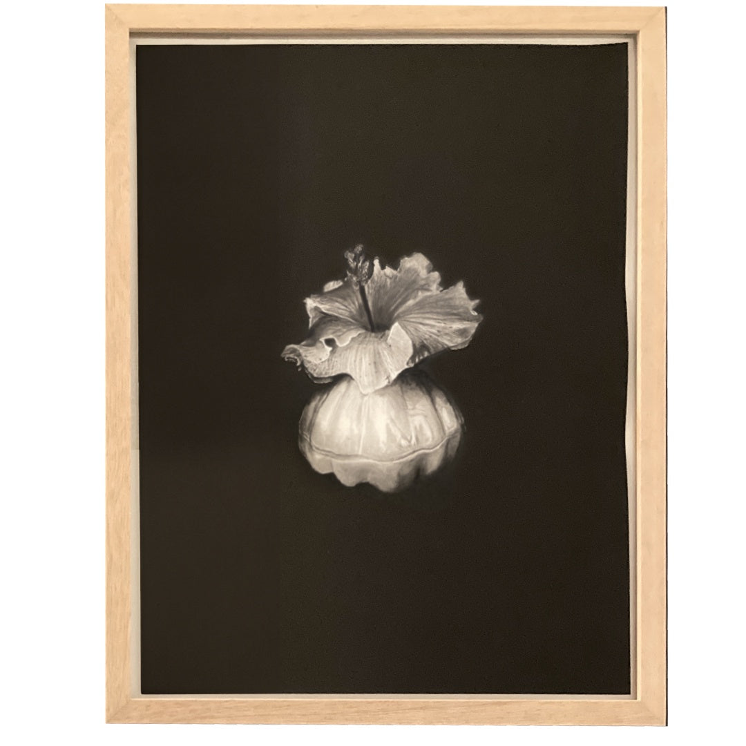 HANNAH MURRAY | 'Hiding in the shadows' | 2025 | Graphite and acrylic paint on paper | H 540 x W 420 mm