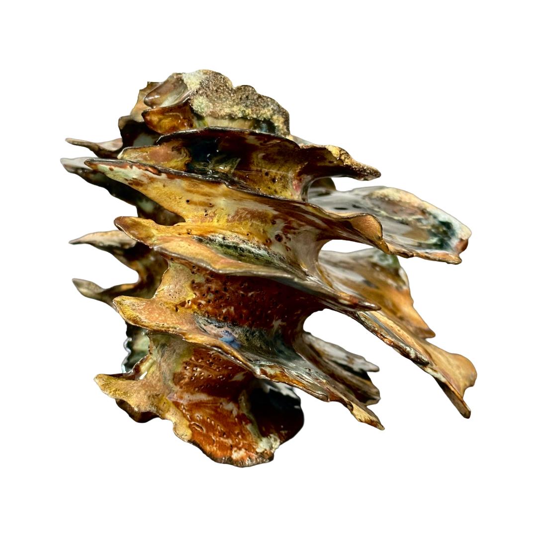 KIM NOLAN | 'Finned Coral #3' | Mid-fire black clay, glaze, glass + sand