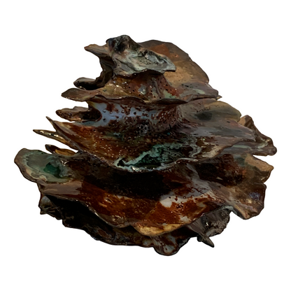 KIM NOLAN | 'Finned Coral #3' | Mid-fire black clay, glaze, glass + sand