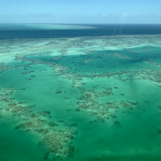 KIM NOLAN | #41 Aerial of Low Island reef | 2025 | photographic print | H100 x W100