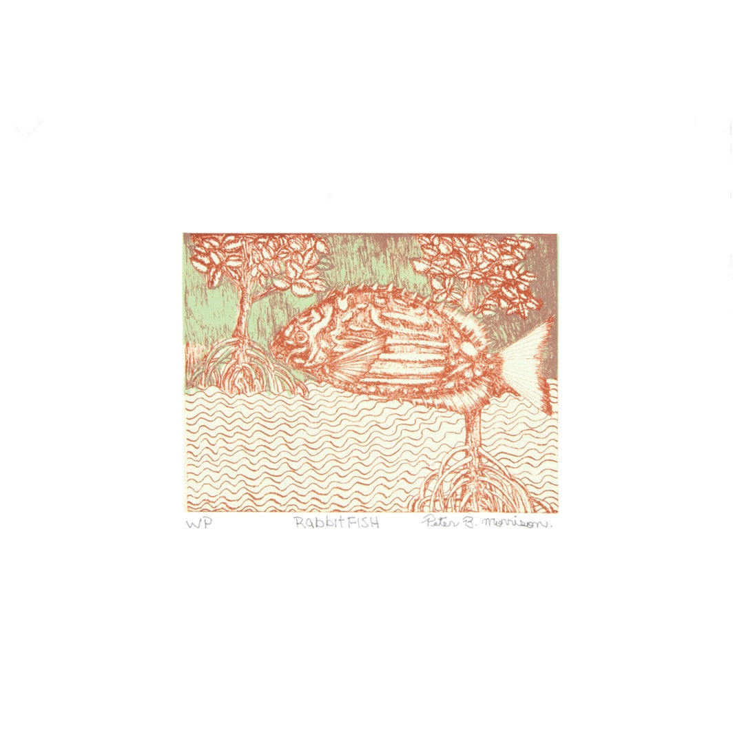 PETER B MORRISON | 'Rabbitfish (I)' | 2026 | Plate lithograph | H 143 x W 194 mm