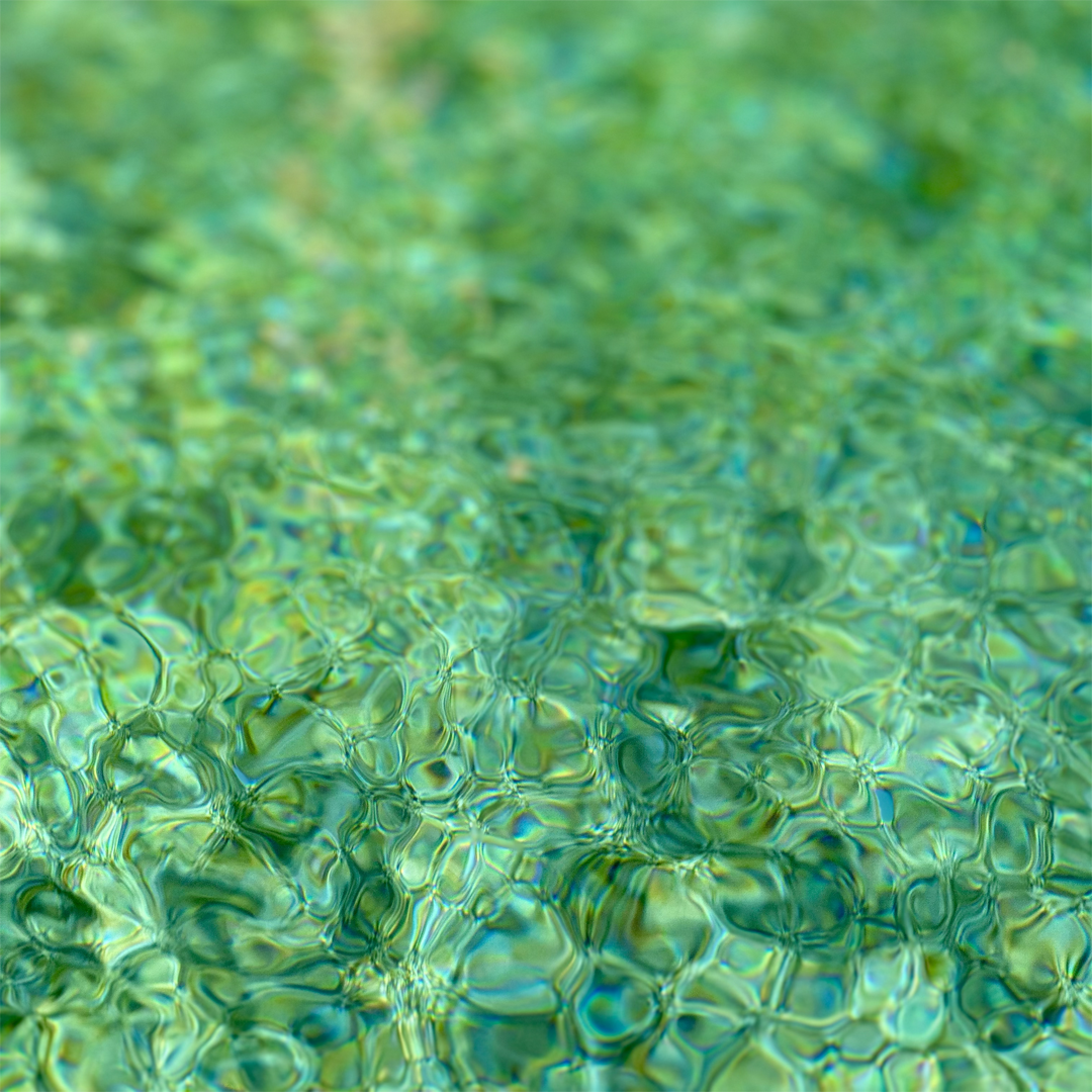 KIM NOLAN | #65 Pool reflections, Home, Kewarra Beach | 2025 | photographic print | H100 x W100