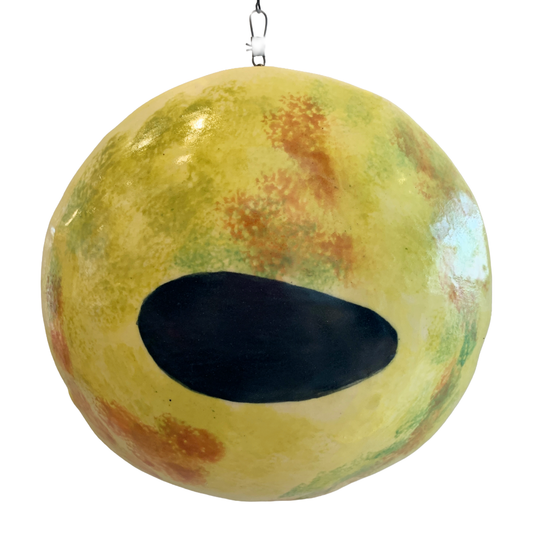 GABRIELLE COONEY | 'Serpent Eel - Ophisurus Serpens' | 2025 | ceramic | H170 x W170  mm