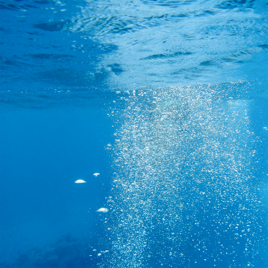 KIM NOLAN | #74 Rising bubbles, Great Barrier Reef | 2025 | photographic print | H100 x W100
