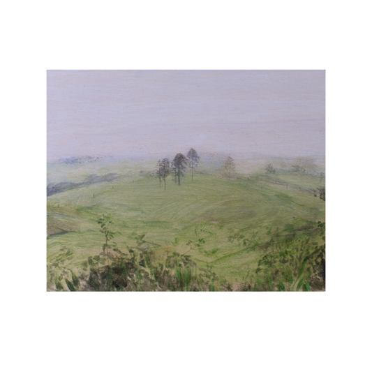 ANNIKA HARDING | ‘Mist study with bunya pines and Atherton raspberries’ | Painting