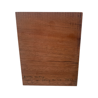 ANNIKA HARDING | ‘Evening sun eclipsing the hill’ | Acrylic on black walnut timber