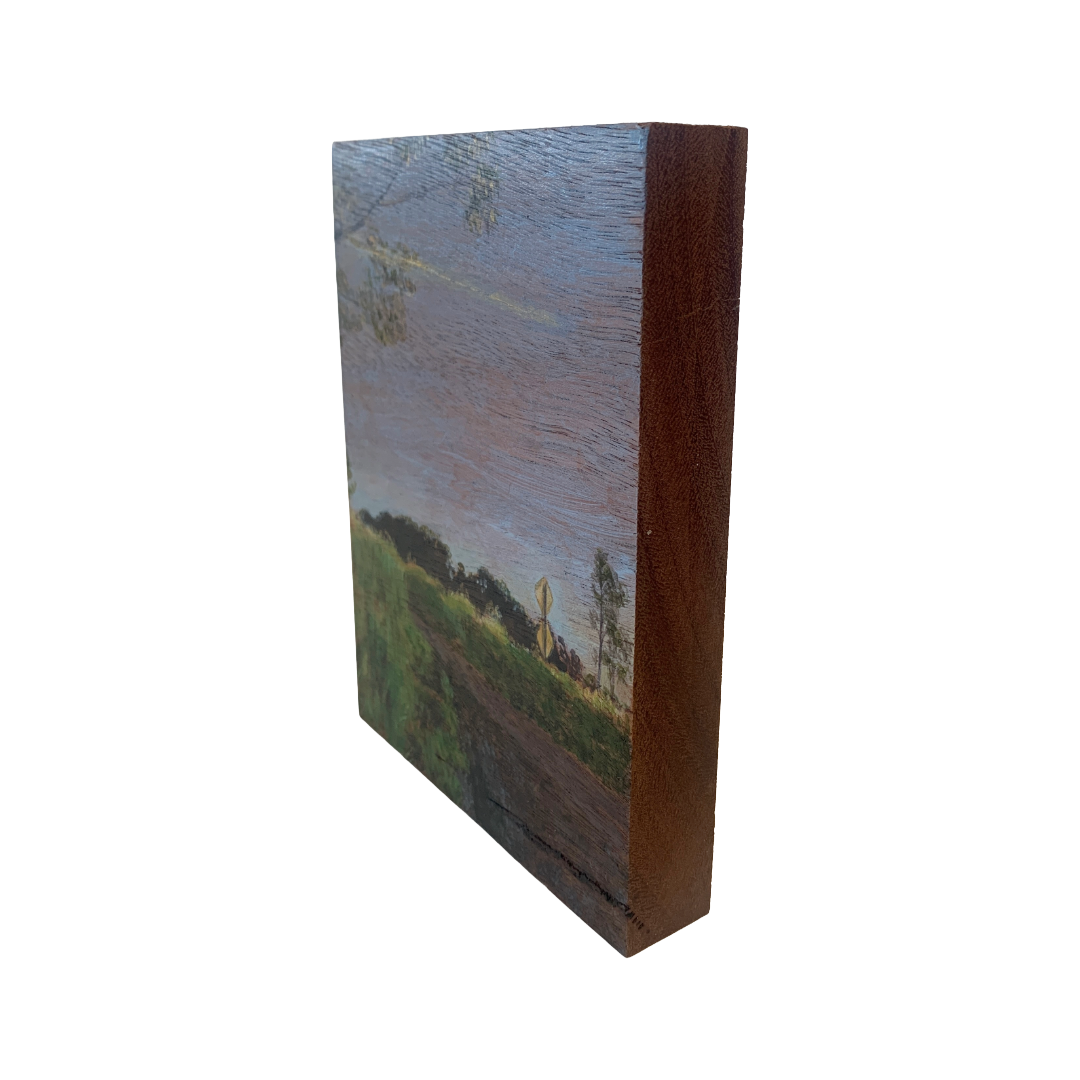 ANNIKA HARDING | ‘Evening sun eclipsing the hill’ | Acrylic on black walnut timber
