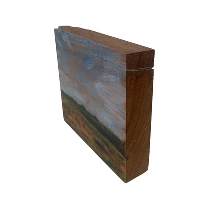 ANNIKA HARDING | ‘Changing skies and volcanic landscape near Yungaburra’ | Acrylic on northern blackwood timber