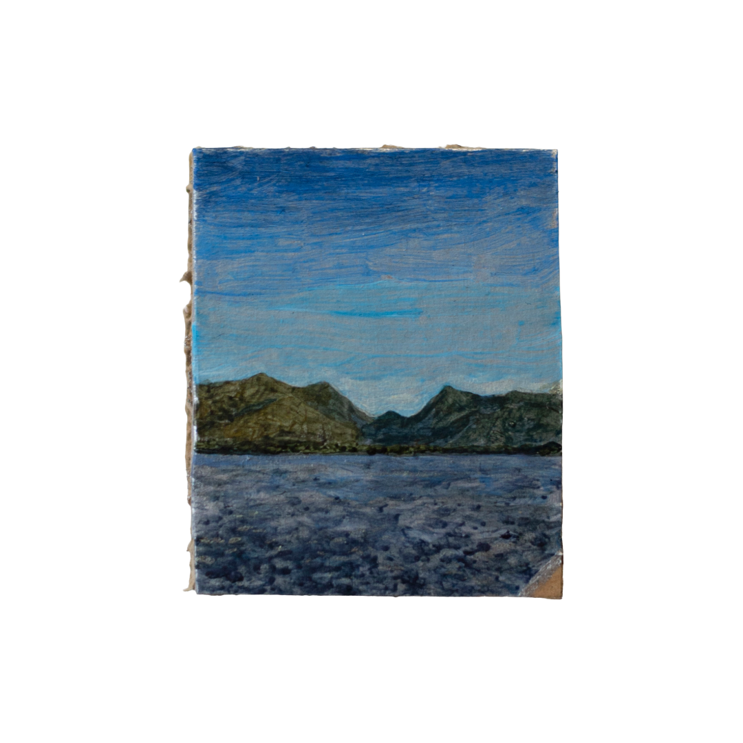 ANNIKA HARDING | ‘Inlet mood (6:28pm 4 January)’ | Acrylic on cardboard