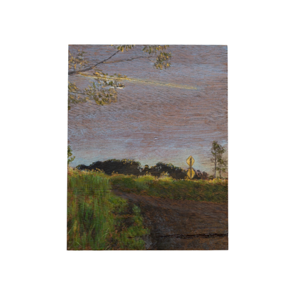 ANNIKA HARDING | ‘Evening sun eclipsing the hill’ | Acrylic on black walnut timber