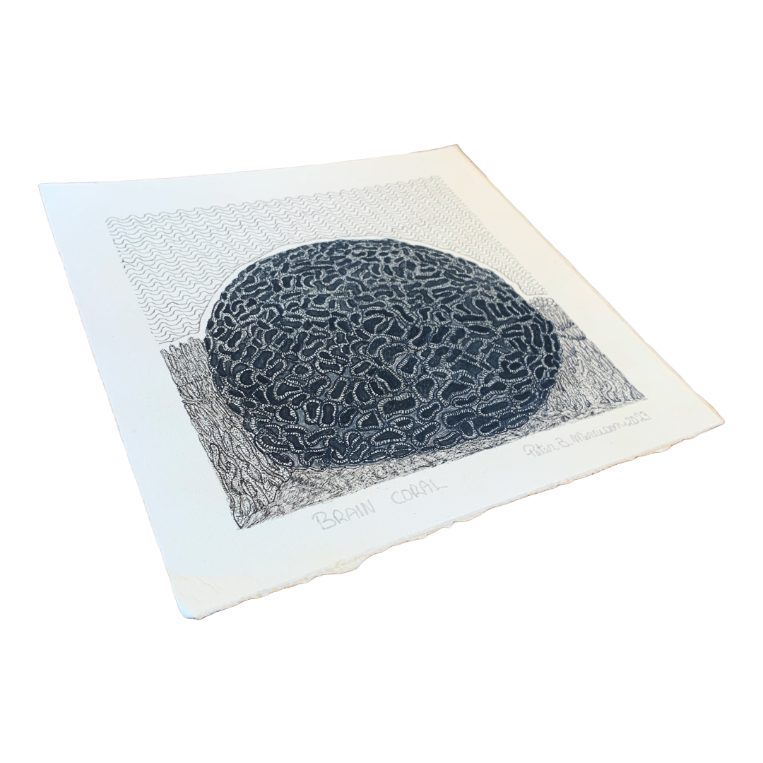 PETER B MORRISON | ‘Brain Coral’ | Pen + Ink drawing