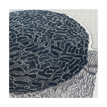 PETER B MORRISON | ‘Brain Coral’ | Pen + Ink drawing
