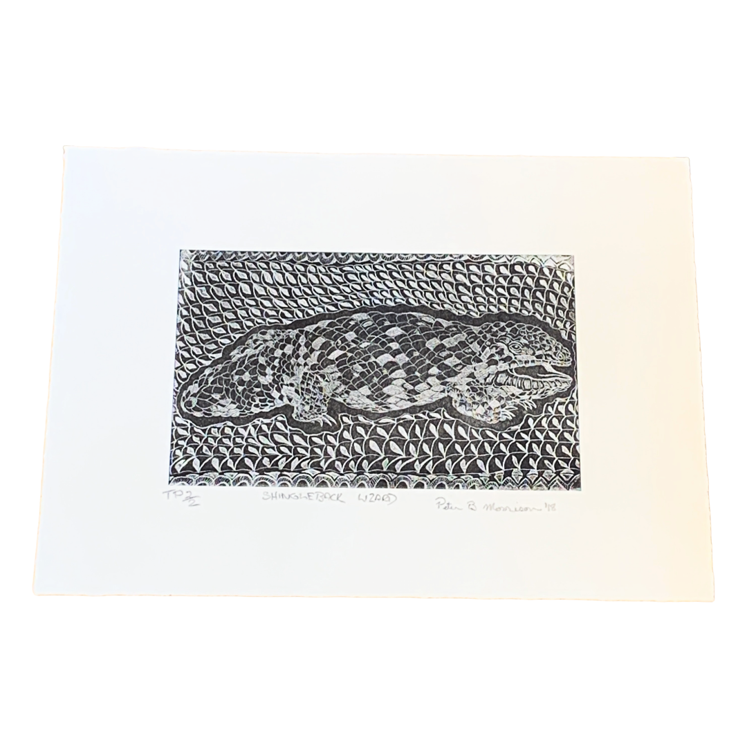 PETER B MORRISON | ‘SHINGLEBACK LIZARD’ TP 2/2 | Etching