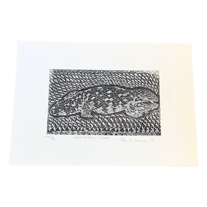 PETER B MORRISON | ‘SHINGLEBACK LIZARD’ TP 2/2 | Etching