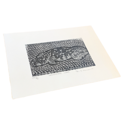PETER B MORRISON | ‘SHINGLEBACK LIZARD’ TP 2/2 | Etching