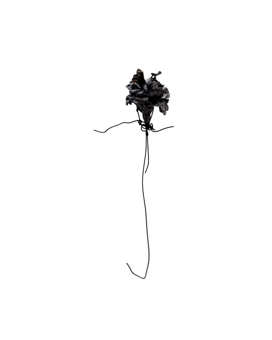 PAMELA KUSABS | ‘Blossom (III)’ | 2025 | Paper /  wire