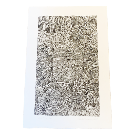 PETER B MORRISON | ‘Giant Clam II’ | Pen + Ink drawing