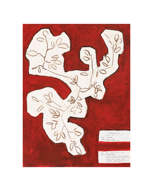 CLAUDINE MARZIK | ‘The Body Language of Plants No. 42’ | Acrylic on paper
