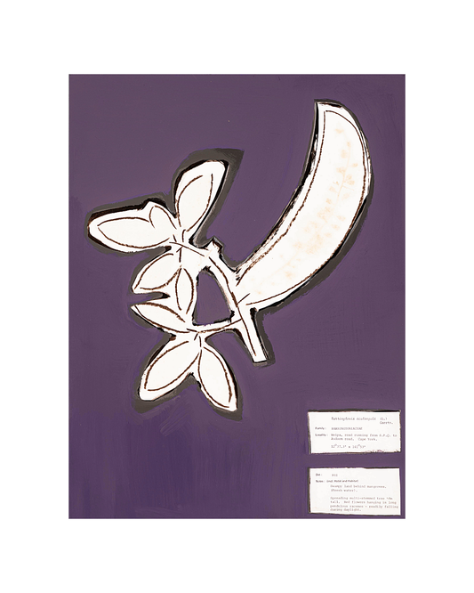 CLAUDINE MARZIK | ‘The Body Language of Plants No. 43’ | Acrylic on paper