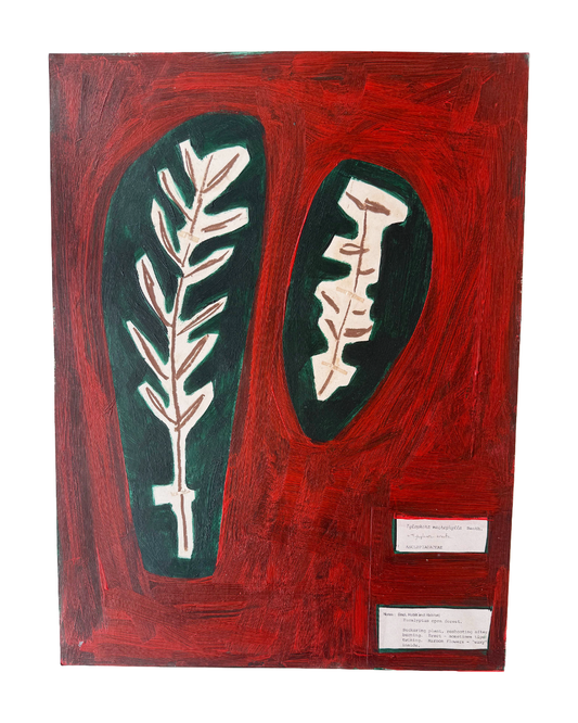 CLAUDINE MARZIK | ‘The Body Language of Plants No. 39’ | Acrylic on paper