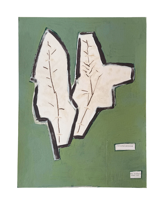 CLAUDINE MARZIK | ‘The Body Language of Plants  No. 40’ | Acrylic on paper