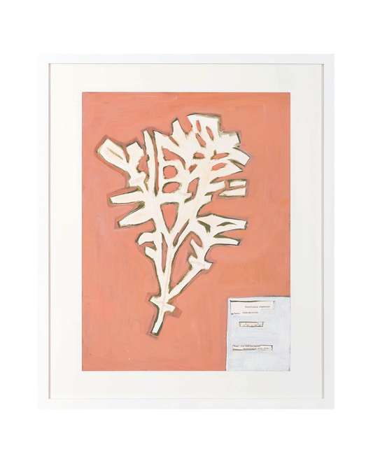 CLAUDINE MARZIK | ‘The Body Language of Plants No. 46’ | Acrylic on paper / framed